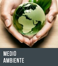 Medio Ambiente