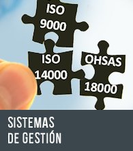 Sistemas de Gestión